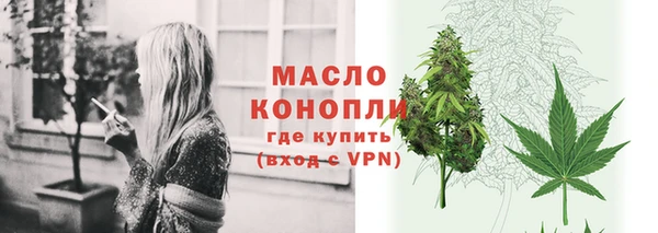 прущие грибы Аркадак