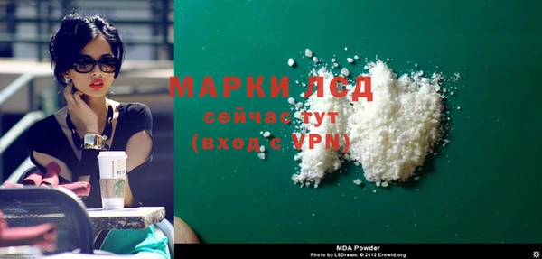 прущие грибы Аркадак