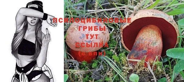 прущий лед Арсеньев