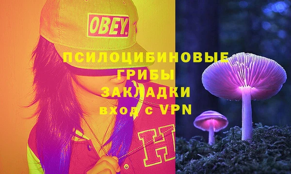 хмурый Армянск