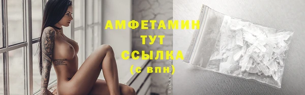 прущие грибы Аркадак