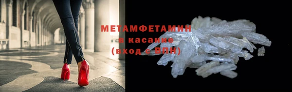 прущие грибы Аркадак
