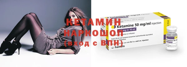 прущие грибы Аркадак