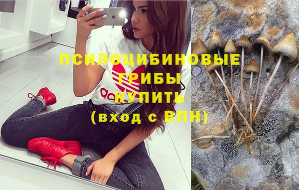 прущий лед Арсеньев