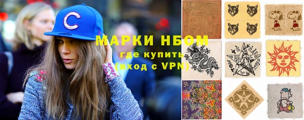 прущие грибы Аркадак