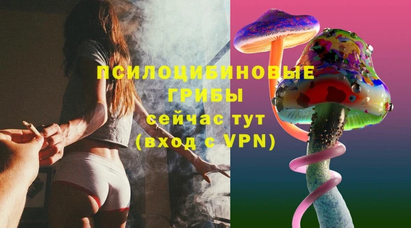 прущий лед Арсеньев