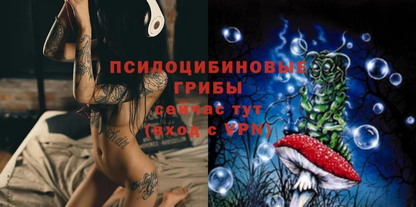 прущие грибы Аркадак