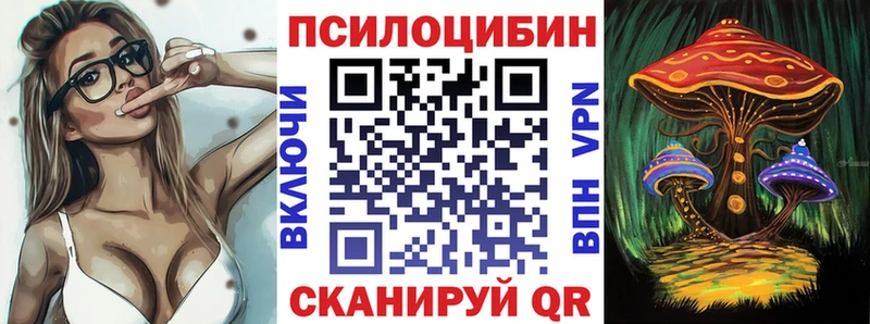 shop телеграм Павловск Псилоцибиновые грибы мицелий где найти